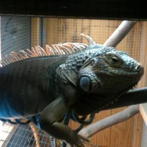 Meet your Posher, Robert